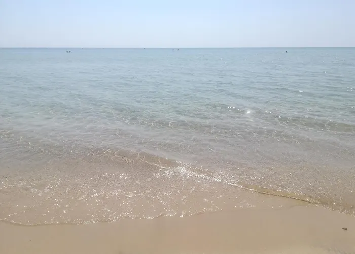 Apartmán Bilocali Sul Mare Le Orchidee