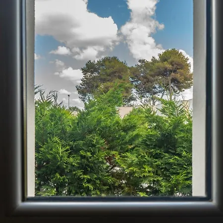 Bilocali Sul Mare Le Orchidee Lejlighed *