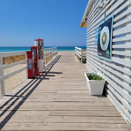 Apartment Bilocali Sul Mare Le Orchidee Lido Marini