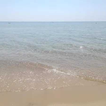 Apartment Bilocali Sul Mare Le Orchidee