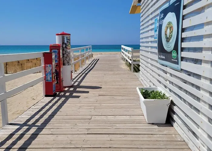 Appartamento Bilocali Sul Mare Le Orchidee Lido Marini