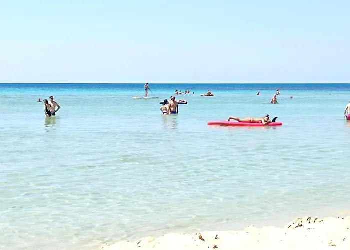 Daire Bilocali Sul Mare Le Orchidee